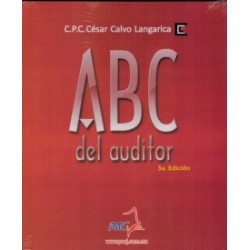ABC DEL AUDITOR