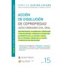 ACCION DE DISOLUCION DE COPROPIEDAD  2025. N°15
