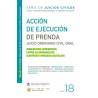 ACCION DE EJECUCION DE PRENDA  2025. N°18