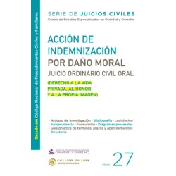 ACCION DE INDEMNIZACION POR DAÑO MORAL 2025. N° 27