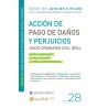 ACCION DE PAGO DE DAÑOS Y PERJUICIOS 2025. N°28