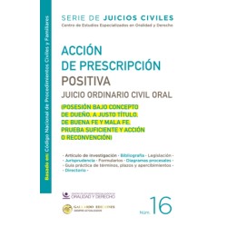 ACCION DE PRESCRIPCION POSITIVA  2025. N°16