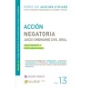 ACCION NEGATORIA. NUMERO 13