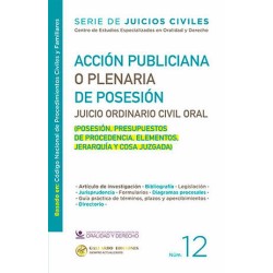 ACCION PUBLICIANA O PLENARIA DE POSECION. JUICIO ORDINARIO CIVIL ORAL