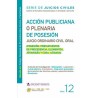 ACCION PUBLICIANA O PLENARIA DE POSECION. JUICIO ORDINARIO CIVIL ORAL
