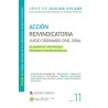 ACCION REIVINDICATORIA JUICIO ORDINARIO CIVIL ORAL