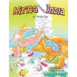 AFRICA MEETS INDIA (INGLES)