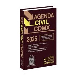 AGENDA CIVIL DE LA CIUDAD DE MEXICO 2025