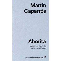 AHORITA. APUNTES SOBRE EL FIN DE LA ERA DEL FUEGO