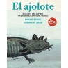 AJOLOTE EL. BIOLOGIA DEL ANFIBIO MAS SOBRESALIENTE DEL MUNDO