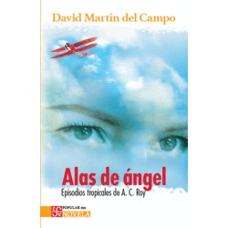 ALAS DE ANGEL