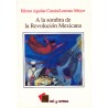 A LA SOMBRA DE LA REVOLUCION MEXICANA