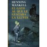 AL GATO QUE LE GUSTABA LA LLUVIA