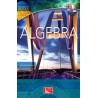 ALGEBRA SERIE UNIVERSITARIA. TEORIA EJEMPLOS Y PROBLEMAS CD